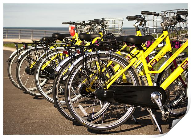 The Bike Rack Print by Peter Elliott 