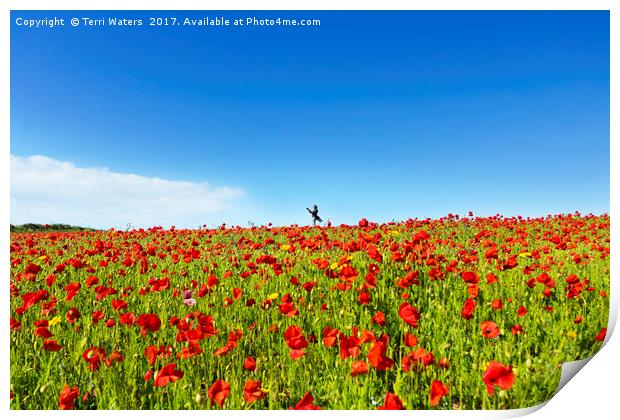 Poppies And A Photographer Print by Terri Waters