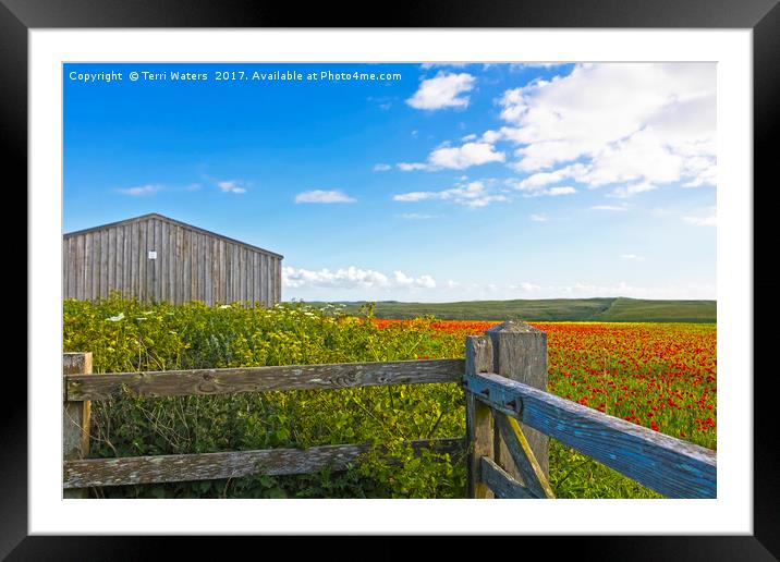 A West Pentire Farm Framed Mounted Print by Terri Waters