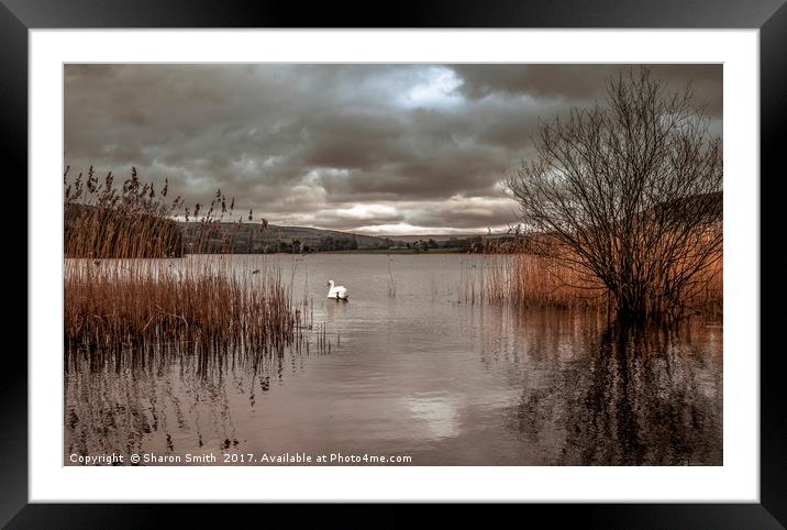 The Lake Framed Mounted Print by Sharon Smith