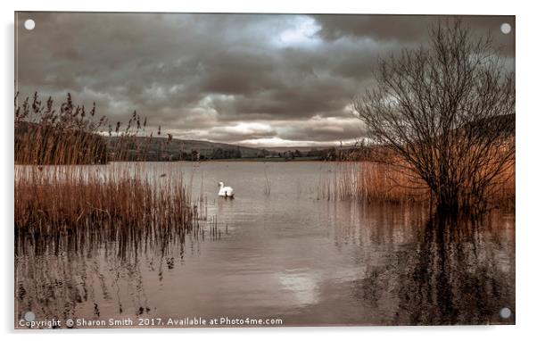 The Lake Acrylic by Sharon Smith