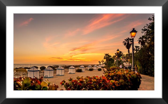 Lets go for a Walk..... Framed Mounted Print by Naylor's Photography