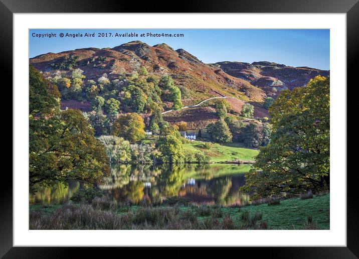 Loughrigg Tarn. Framed Mounted Print by Angela Aird