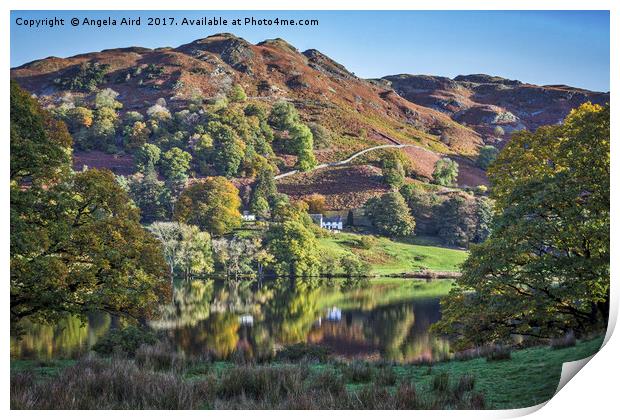 Loughrigg Tarn. Print by Angela Aird