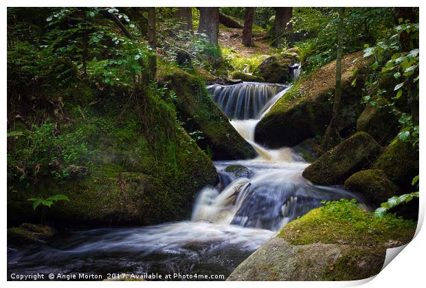 Spring Into Wyming Brook Print by Angie Morton