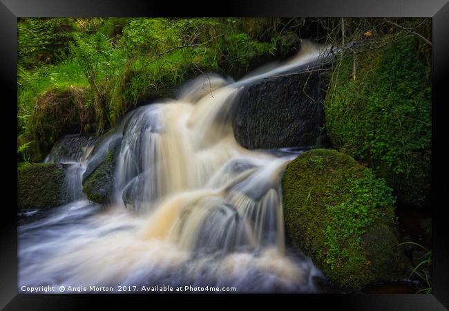Wyming Brook in Flow Framed Print by Angie Morton