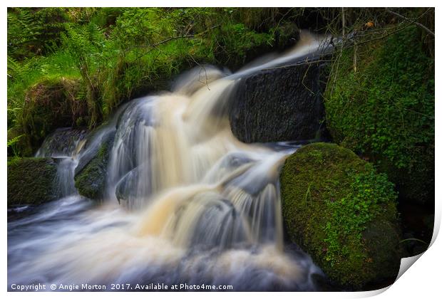 Wyming Brook in Flow Print by Angie Morton