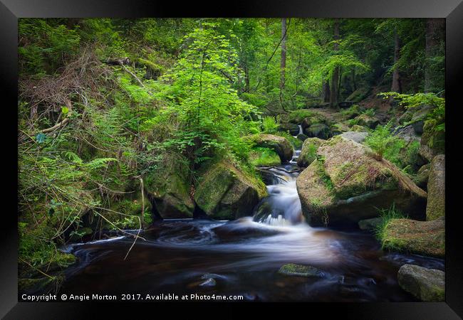 Wyming Brook in Spring Framed Print by Angie Morton