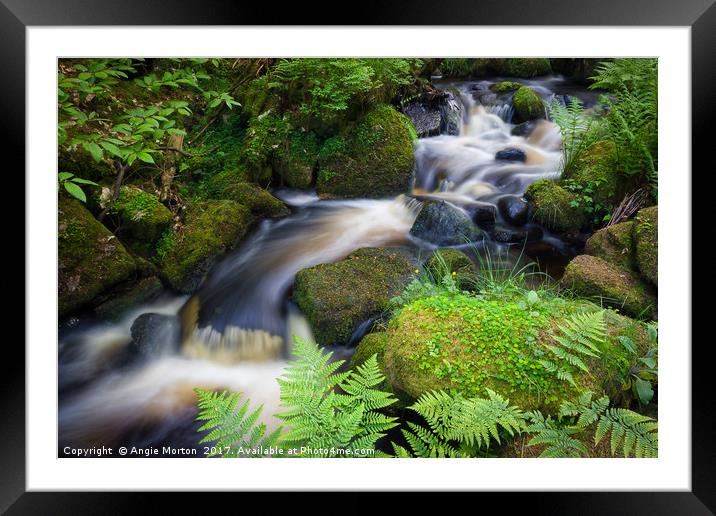 Babbling Wyming Brook Framed Mounted Print by Angie Morton
