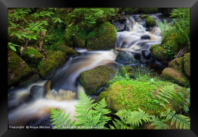 Babbling Wyming Brook Framed Print by Angie Morton