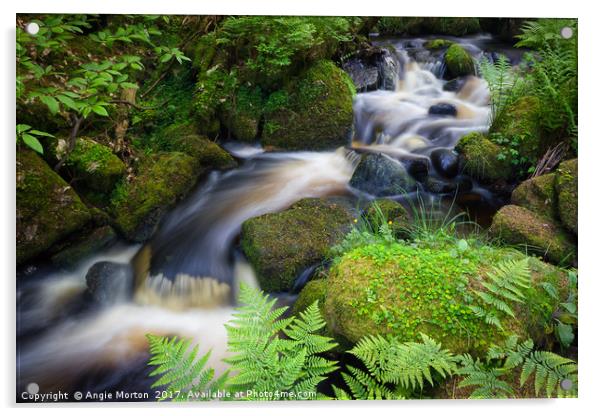 Babbling Wyming Brook Acrylic by Angie Morton