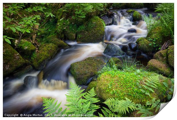 Babbling Wyming Brook Print by Angie Morton
