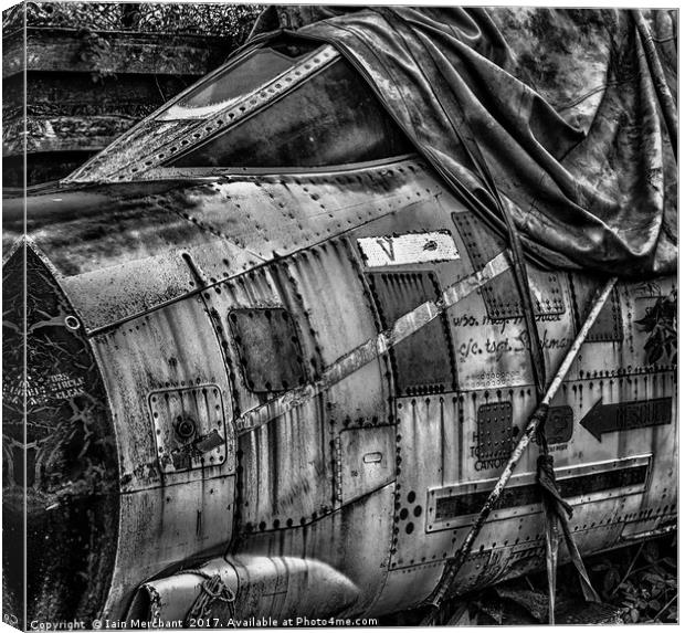 Details of Decay Canvas Print by Iain Merchant