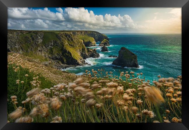 Bedruthan Framed Print by Andy Evans