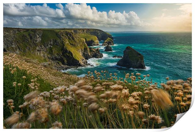 Bedruthan Print by Andy Evans