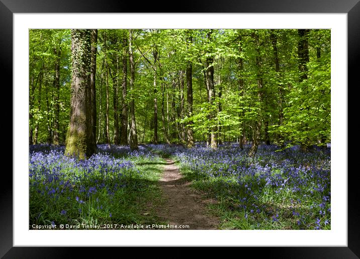 Footpath Through the Bells Framed Mounted Print by David Tinsley