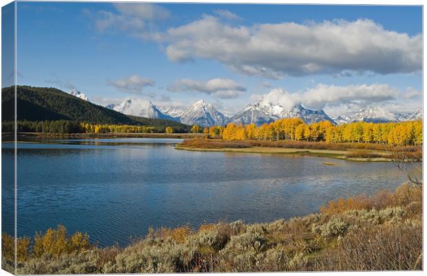 OxBow Canvas Print by Mary Lane