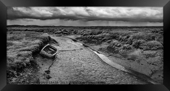 NORFOLK SALT MARSH Framed Print by Tony Sharp LRPS CPAGB