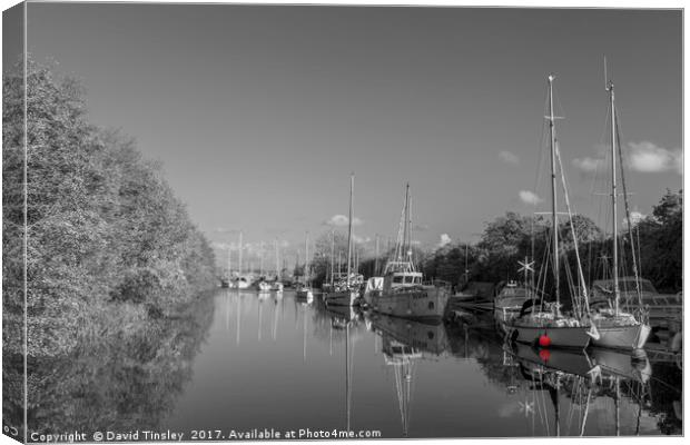 Red Buoy Canvas Print by David Tinsley