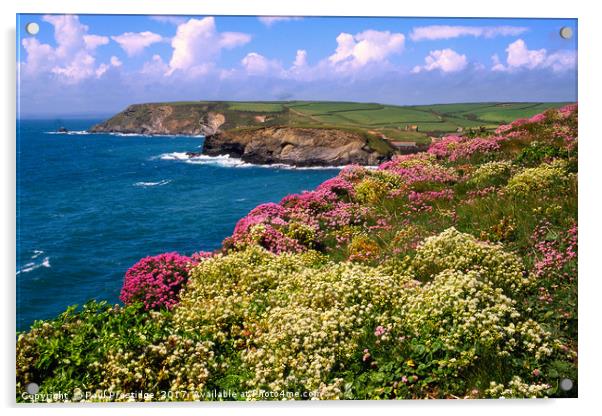 Coastal Flowers, Cornwall Acrylic by Paul F Prestidge