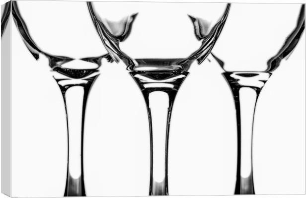 Wine Glass Sculpture Canvas Print by Paul Want