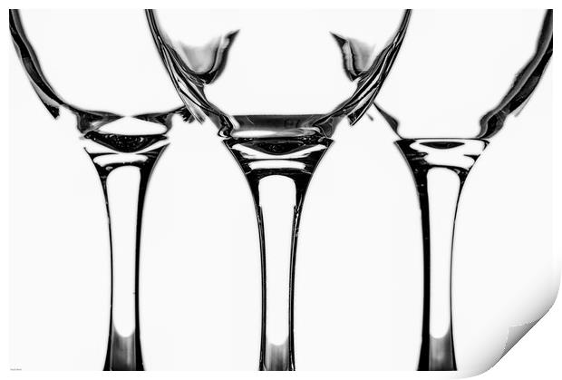Wine Glass Sculpture Print by Paul Want
