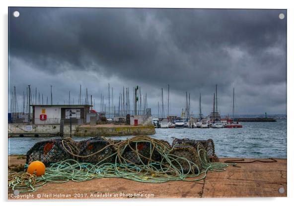 Lobster, Pots, Torquay Harbour Acrylic by Neil Holman