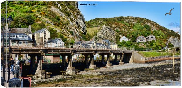Barmouth, West Wales, UK Canvas Print by Frank Irwin