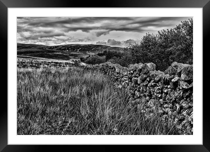 Dry Stone Wall Black And White Framed Mounted Print by Carl Blackburn