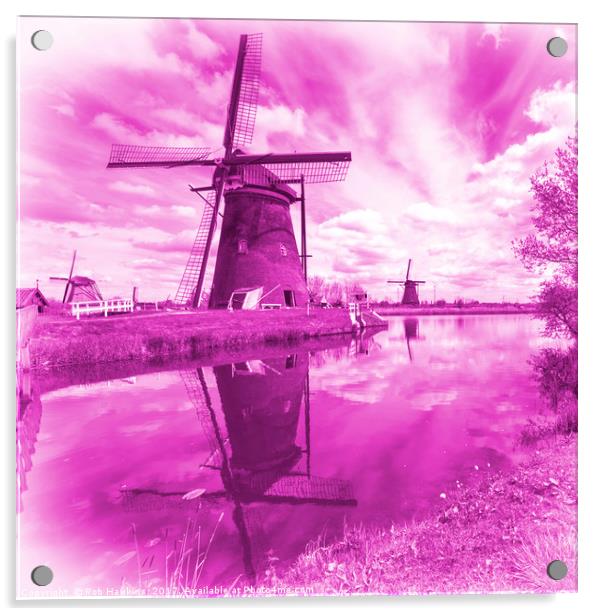 Pink Windpump  Acrylic by Rob Hawkins