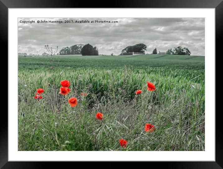 Poppy Field Framed Mounted Print by John Hastings