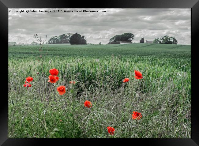 Poppy Field Framed Print by John Hastings