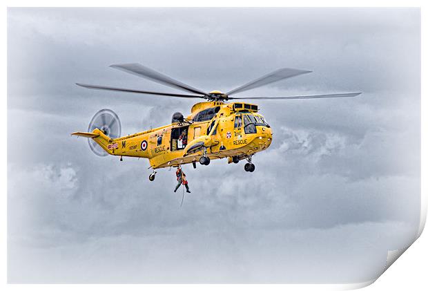 RAF Sea King Search and Rescue Print by Jeni Harney
