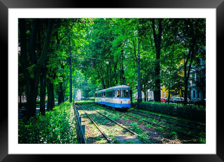 Polish Tram. Framed Mounted Print by Angela Aird