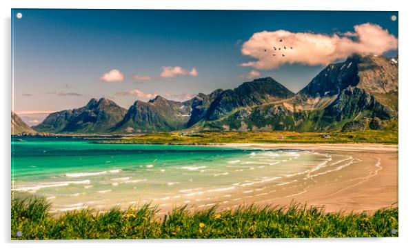 Lofoten Norway Acrylic by Hamperium Photography