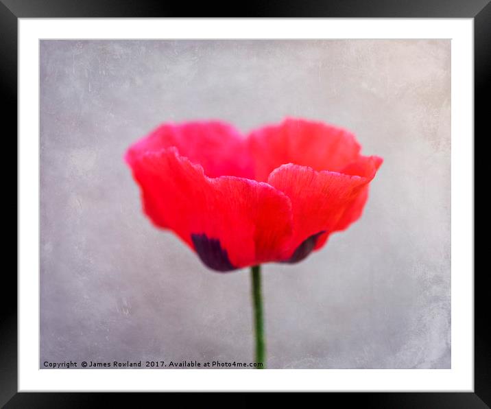 Poppytastic Framed Mounted Print by James Rowland
