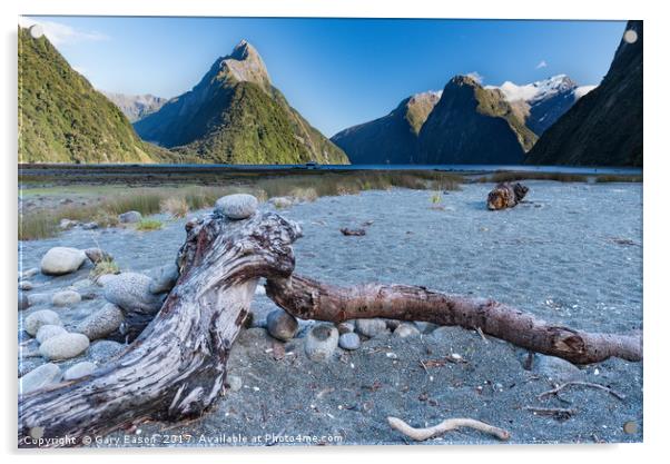 Beached tree trunk Milford Sound Acrylic by Gary Eason