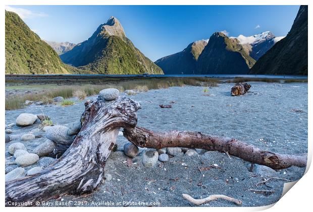 Beached tree trunk Milford Sound Print by Gary Eason