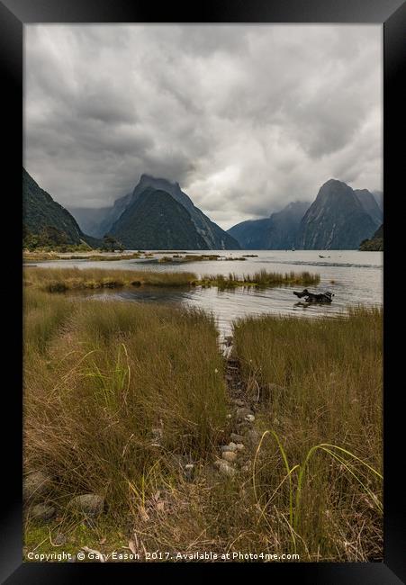 Low cloud in Milford Sound Framed Print by Gary Eason