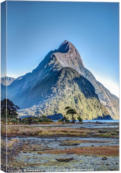 Mitre Peak at low tide Canvas Print by Gary Eason