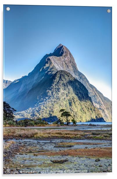 Mitre Peak at low tide Acrylic by Gary Eason