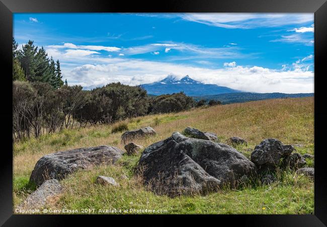 Mount Ruapehu view Framed Print by Gary Eason
