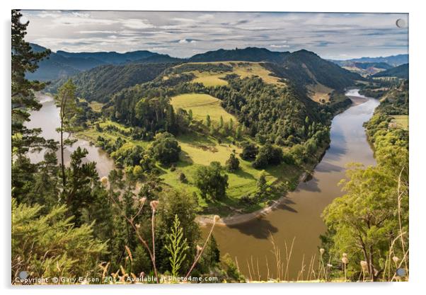Whanganui River bend Acrylic by Gary Eason