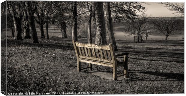 A Place to Sit and Contemplate Life Canvas Print by Iain Merchant
