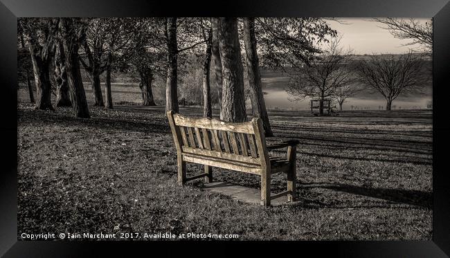 A Place to Sit and Contemplate Life Framed Print by Iain Merchant
