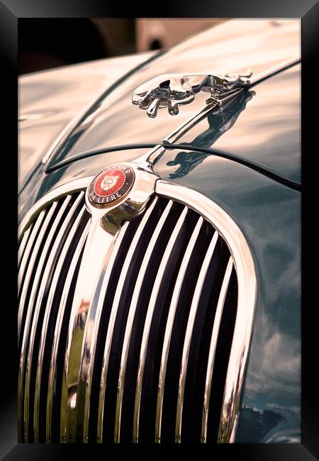 Jaguar Hood Emblem Framed Print by Rob Cole