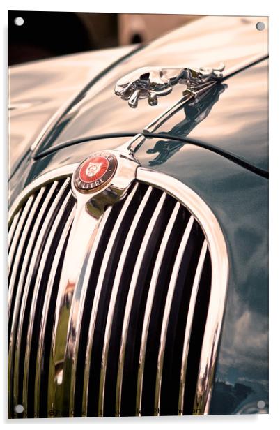 Jaguar Hood Emblem Acrylic by Rob Cole