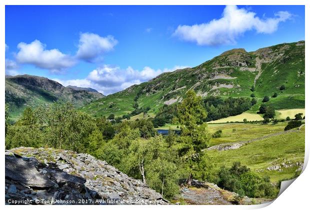 The Little Langdale Valley Print by Tony Johnson