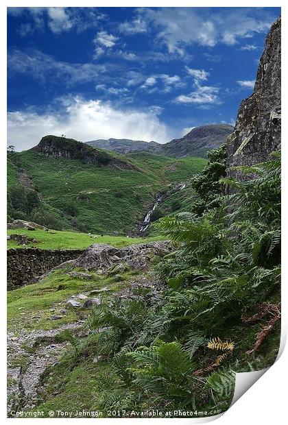 Easedale Valley Print by Tony Johnson