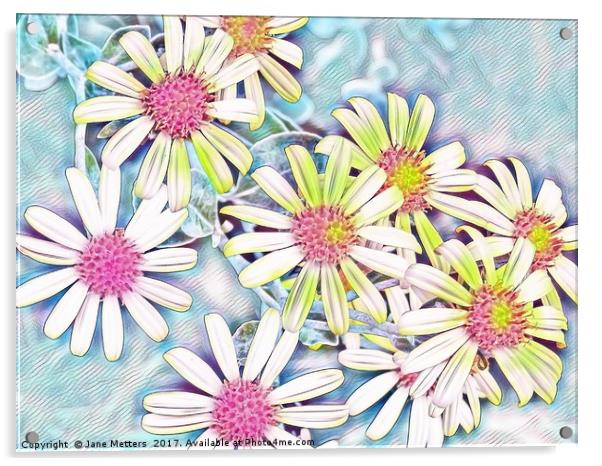 Daisies in Pastel Shades Acrylic by Jane Metters